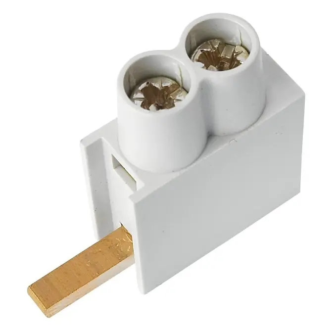 ELEM_1000491.jpg