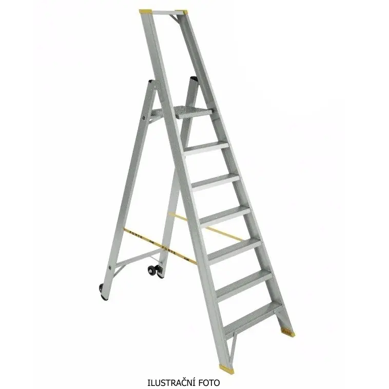 ALVE_9307_ilustr.jpg