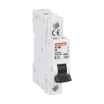 P1MB1PC06.jpg
