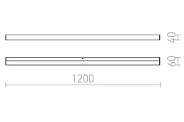 AUL_9581.jpg