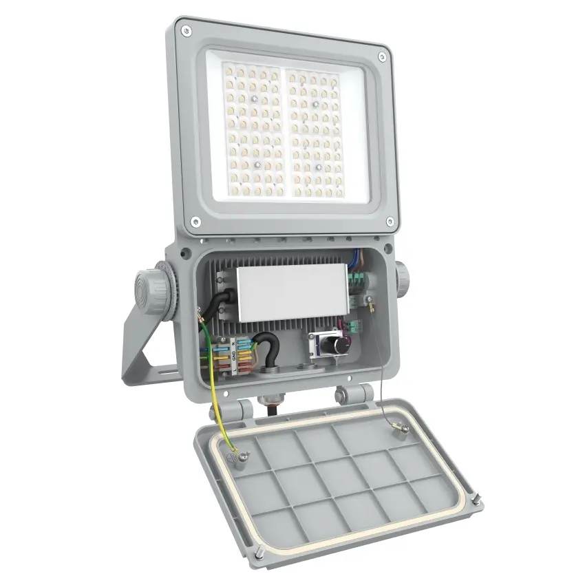 LDV_asset-13249571.jpg