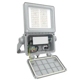 LDV_asset-13249571.jpg