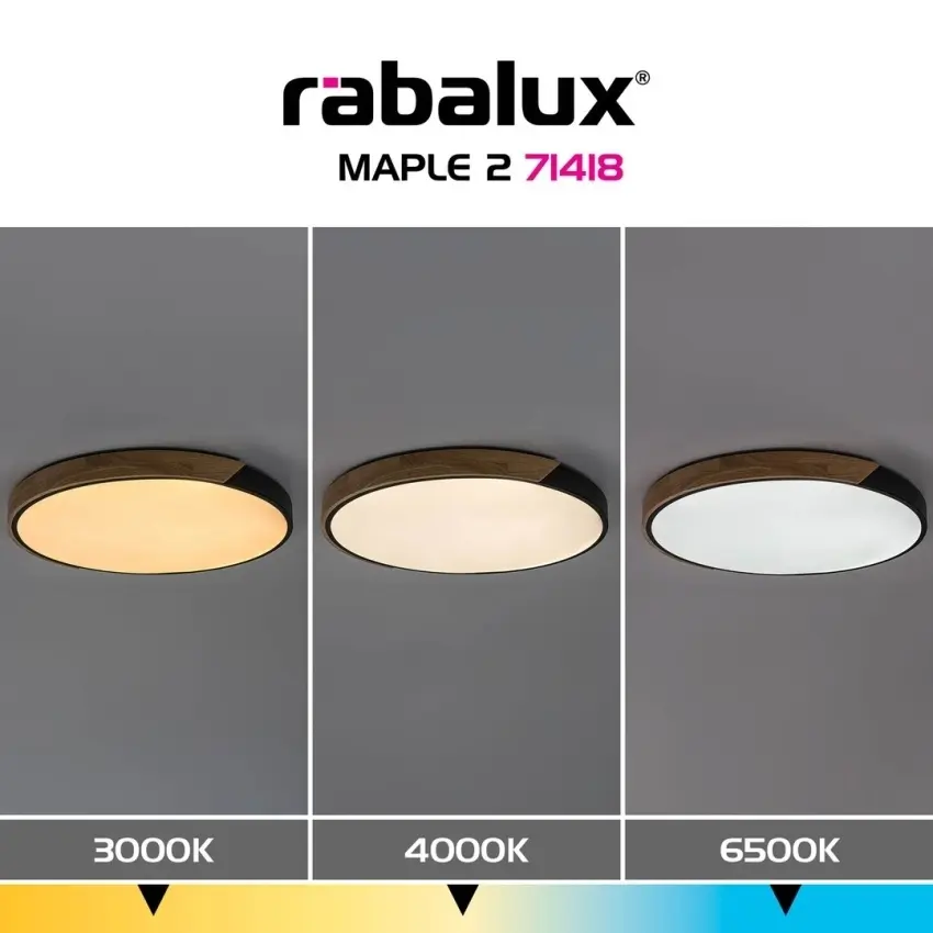 83730510_RABALUX_Foto7.jpg