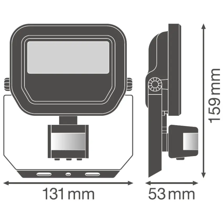 LDV_asset-9913118.jpg