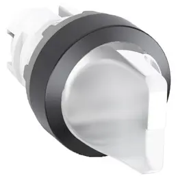 ABB_9IBA184537_master.jpg
