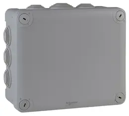 SCH_ODAP120838.jpg