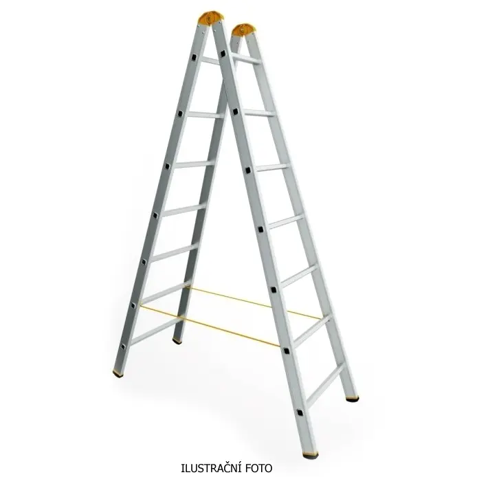 ALVE_8905_ilustr.jpg