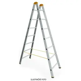 ALVE_8905_ilustr.jpg