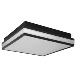 LDV_asset-13022247.jpg