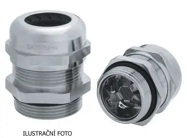 LAP_53112650_ilustr.jpg