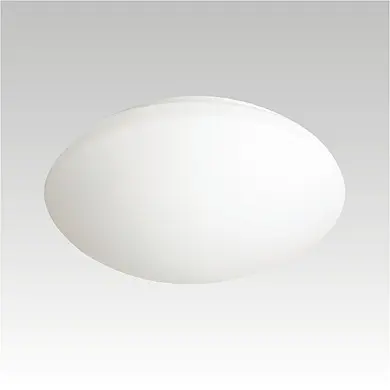 910010010.jpg