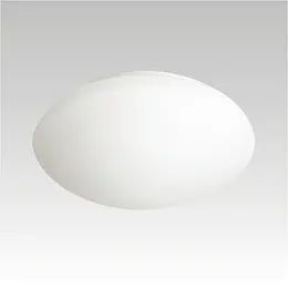 910010010.jpg