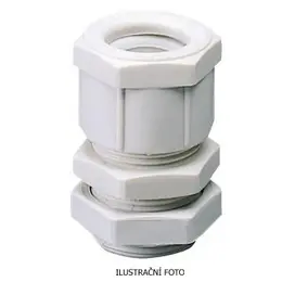 GW_GW10007285_ilustr.jpg