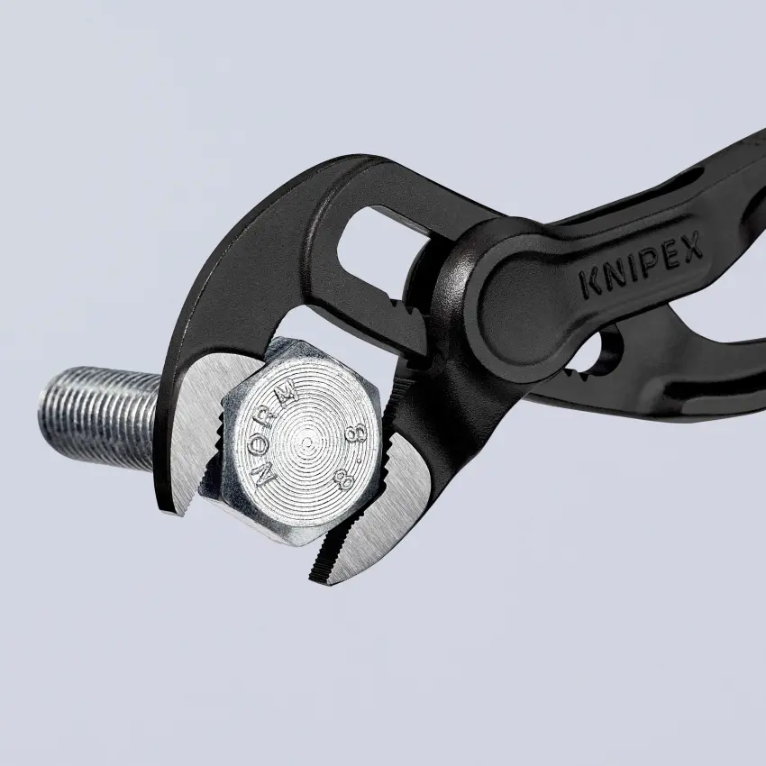 KN_IM0020961.jpg
