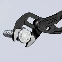 KN_IM0020961.jpg
