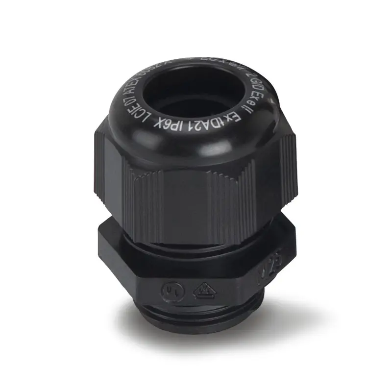 PICTURE_9422_1.JPG