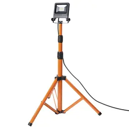 LDV_asset-6998497.jpg