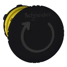 SCH_PF131624_1500.jpg
