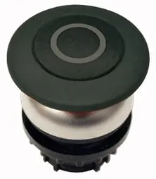 EA_216724.jpg