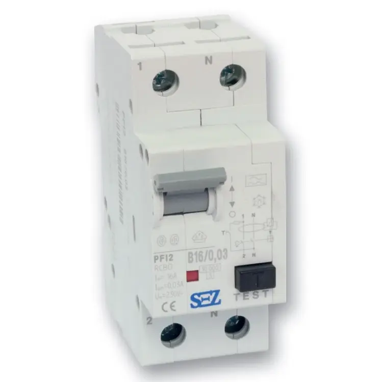SEZ_PFI2_B16_003.jpg
