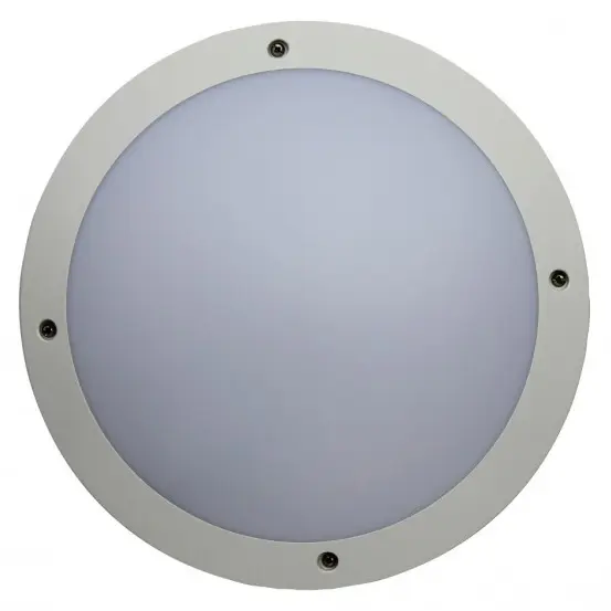 AR_41166.jpg