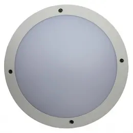 AR_41166.jpg