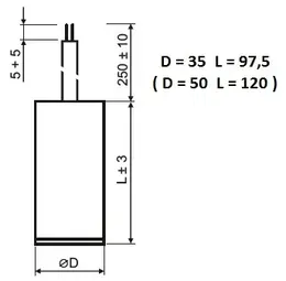 DNA_MPB0250060.jpg