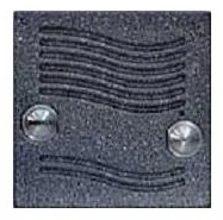 TES_2310962.jpg