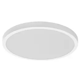 LDV_asset-13022326.jpg