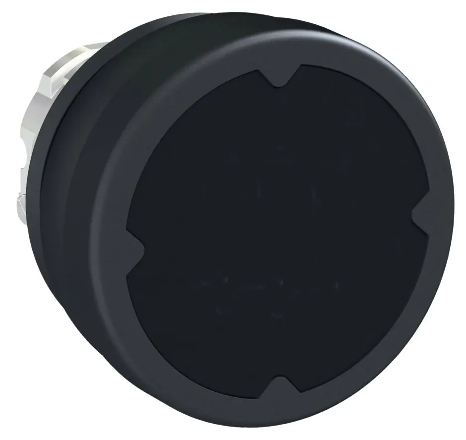 SCH_PF101217.jpg