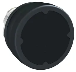 SCH_PF101217.jpg