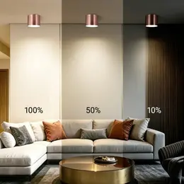 83727008_IMMAX_Foto8.jpg
