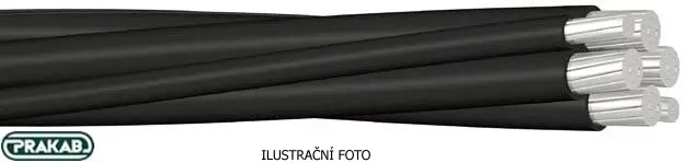 PRA_1-AES_ilustr.jpg