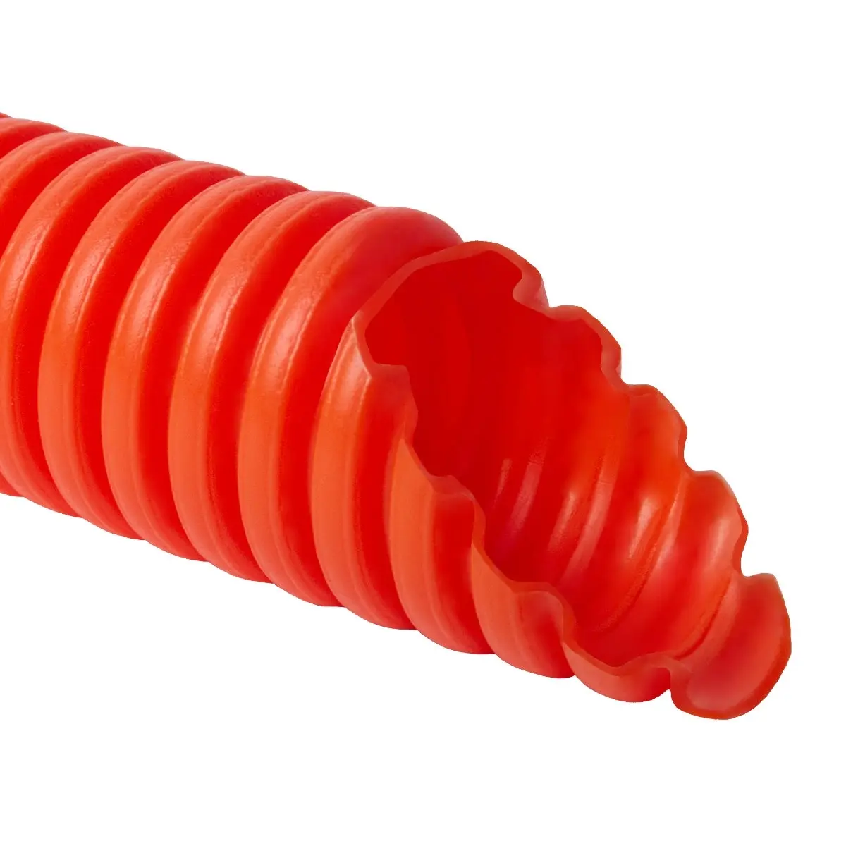 lpe-1_A.jpg