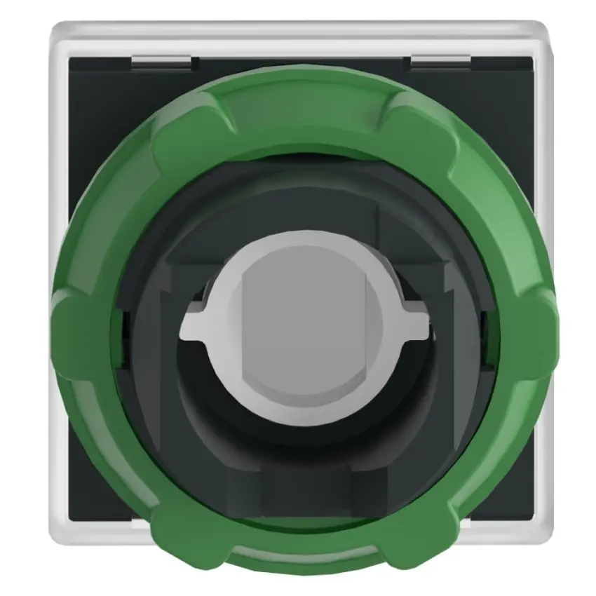 SCH_ZB5CV013_Altern_Rear_2022_1500x1500.jpg