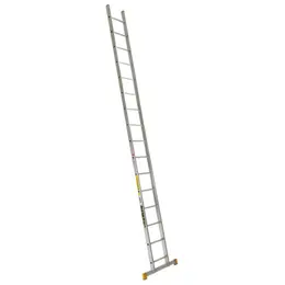 ALVE_8116.jpg