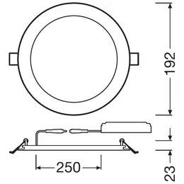 LDV_asset-2232127.jpg