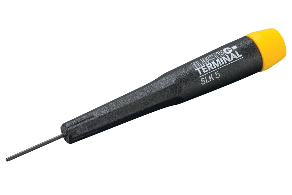 ELEM_1003382.jpg