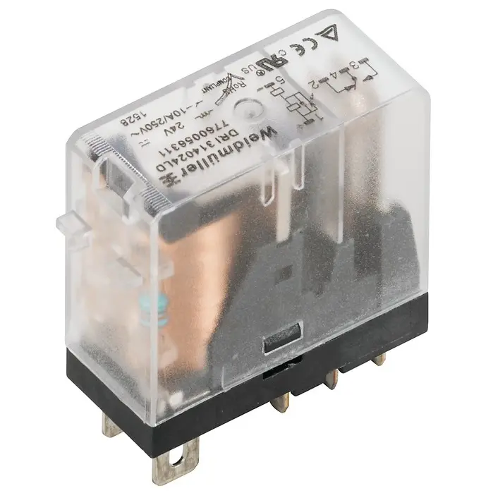 WM_PV_77600563119999.jpg