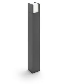 1646393P3_1.jpg