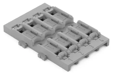 5556020.jpg