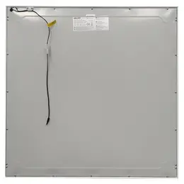 MCL_1866548.jpg