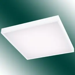CO_91324408.jpg