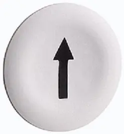 SCH_ZBA334.jpg