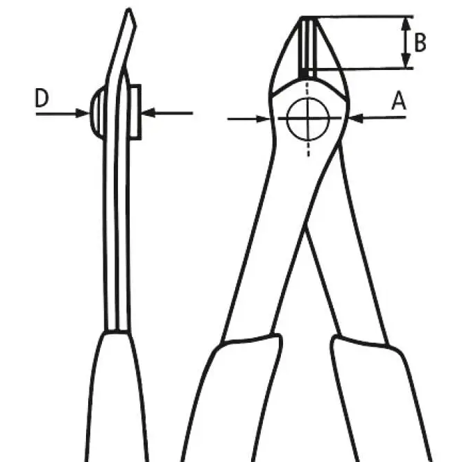 KN_IM0021969.jpg