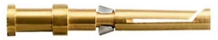 WM_16516800009999.jpg