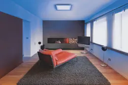 LDV_asset-11161955.jpg