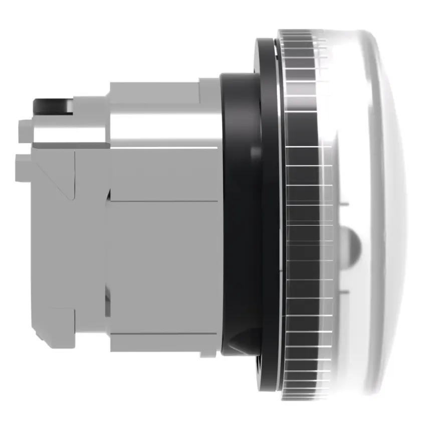 83709146_SCHNEIDER__Foto6.jpg