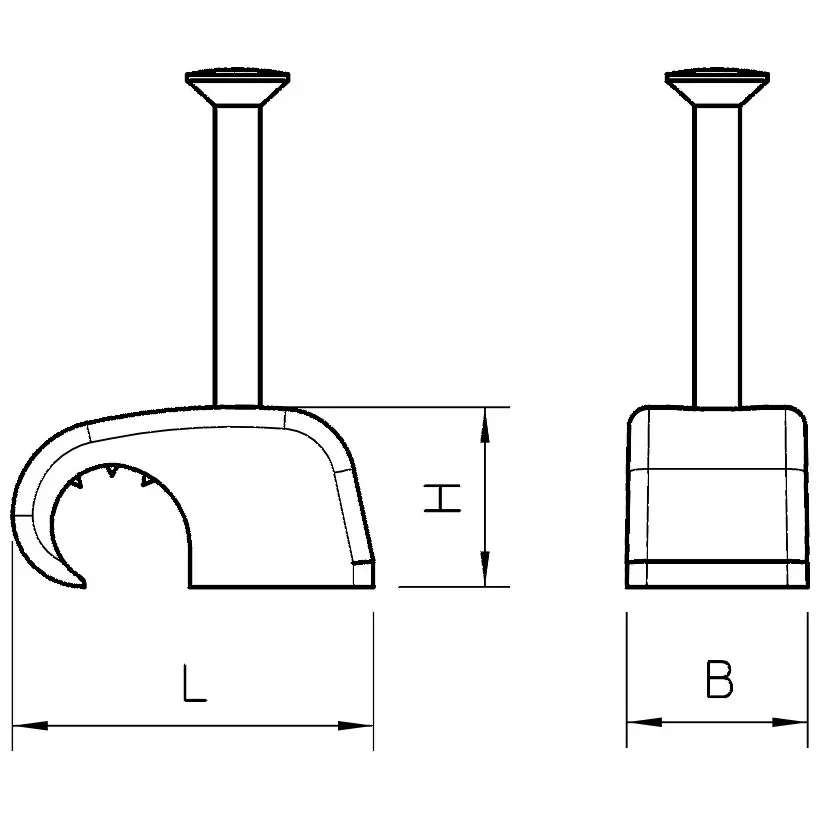 OBO_2228610_MZ1.jpg