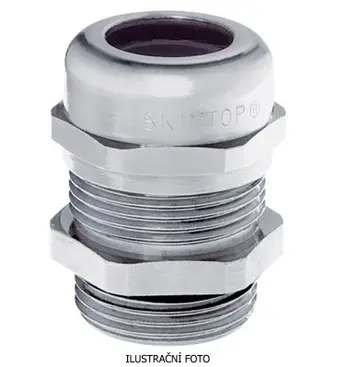 LAP_53112020_ilustr.jpg